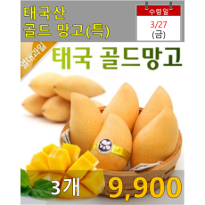 태국산 골드망고(특) 3개