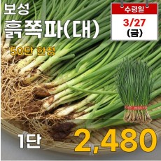 보성 흙쪽파(대)