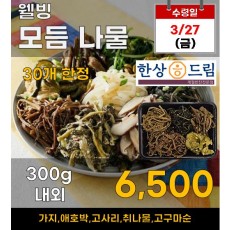 웰빙 모듬나물 1팩