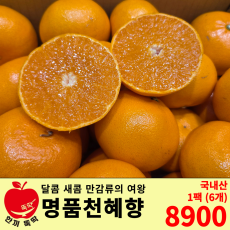 천혜향 / 국내산 1팩 (6개)