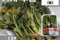 가시 두릅 1팩