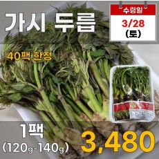 가시 두릅 1팩
