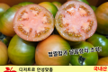 진짜 짭짤~ 대저토마토 / 국내산 1팩(850g내외)