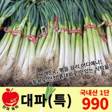 대파 / 국내산 1단