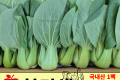 청경채 / 국내산 1봉(500g 내외)