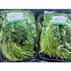 🌱[국산]참나물 1팩 200g/1팩