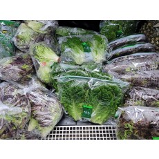 🥬[국산]꽃상추,청상추,포기상추 각1봉🥬