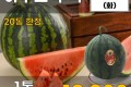 하우스 수박 1통
