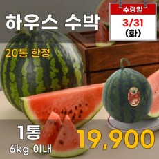 하우스 수박 1통