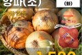 국내산 양파  5입