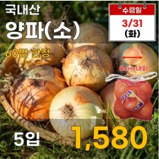 국내산 양파  5입