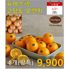 퓨어스펙 고당도 오렌지(왕특) 8개