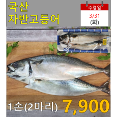 국산 자반고등어(대) 1손