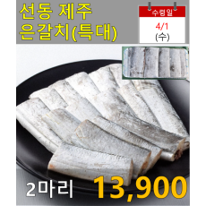 선동 제주은갈치(특대) 2마리