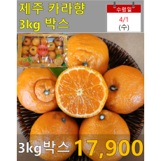 제주 카라향 3kg 박스
