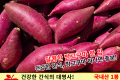 밤고구마 / 국내산 1봉(1kg 내외)