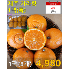 제주 카라향(특) 1팩(8개)