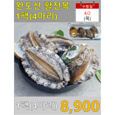 완도산 활전복 1팩(4마리)