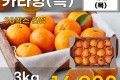 제주 카라향(특) 3kg
