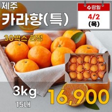 제주 카라향(특) 3kg