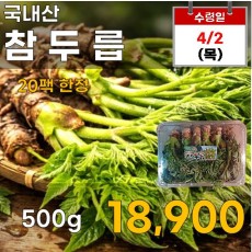 국내산 참두릅 500g