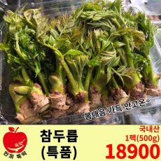 봄의 향기 참두릅 / 국내산 특품 1팩 (500g)