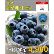 국산 블루베리(특) 1팩/100g