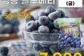 미국산 냉동 블루베리 900g