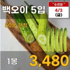 백오이 5입