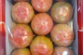 🍅[국산]찰토마토 2kg/1상자