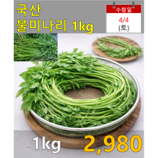 국산 불미나리 1kg