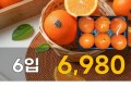 퓨어스펙 고당도 오렌지 6입