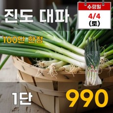 진도 대파 1단