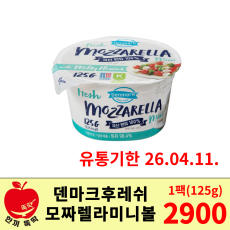 덴마크 후레쉬 모짜렐라 미니볼