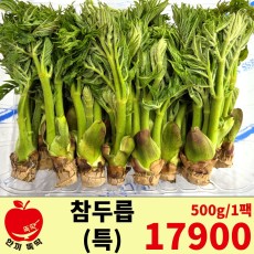 국내산 참두릅 (특) 1팩