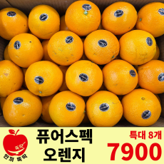 퓨어스펙 오렌지 특대