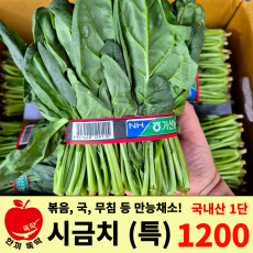 시금치 특