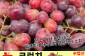 크런치포도 / 수입산 1팩(700g 내외)