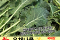 유채나물(하루나) / 국내산 1봉(260g 내외)