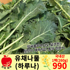 유채나물(하루나) / 국내산 1봉(260g 내외)