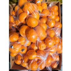 🍊제주산)카라향 1봉🍊